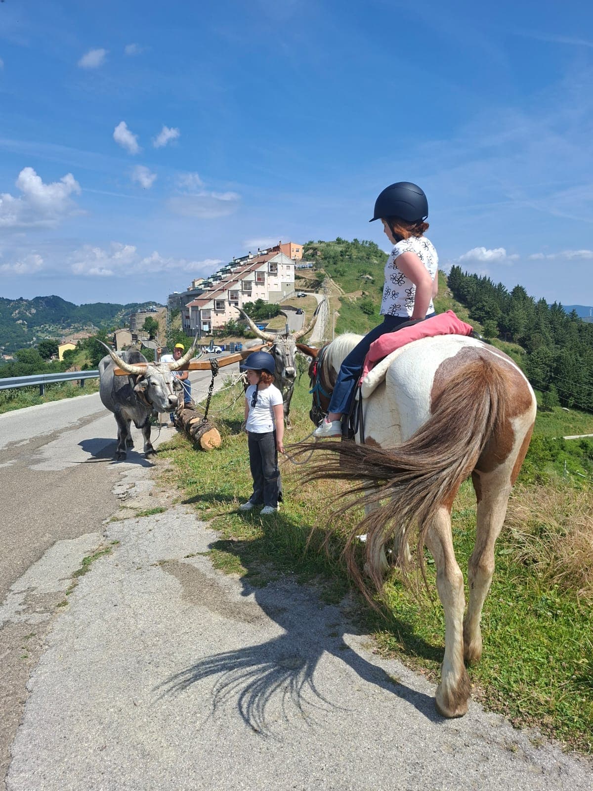 A little girl on a horse accompanied by a Dolomiti a Cavallo guide