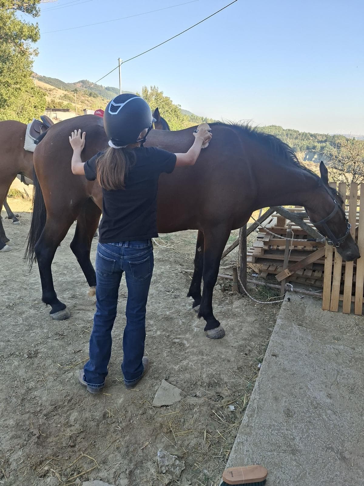 Horseback ride with Dolomiti a Cavallo