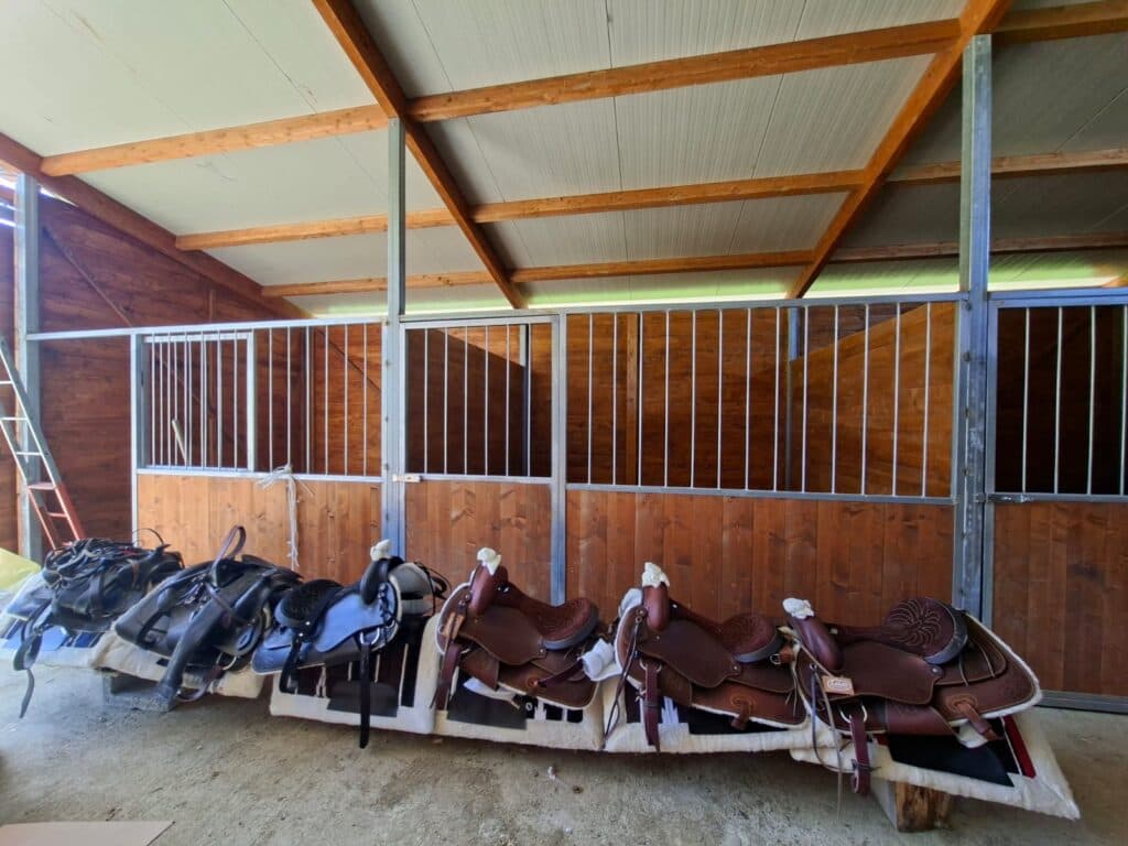 Horseback ride with Dolomiti a Cavallo