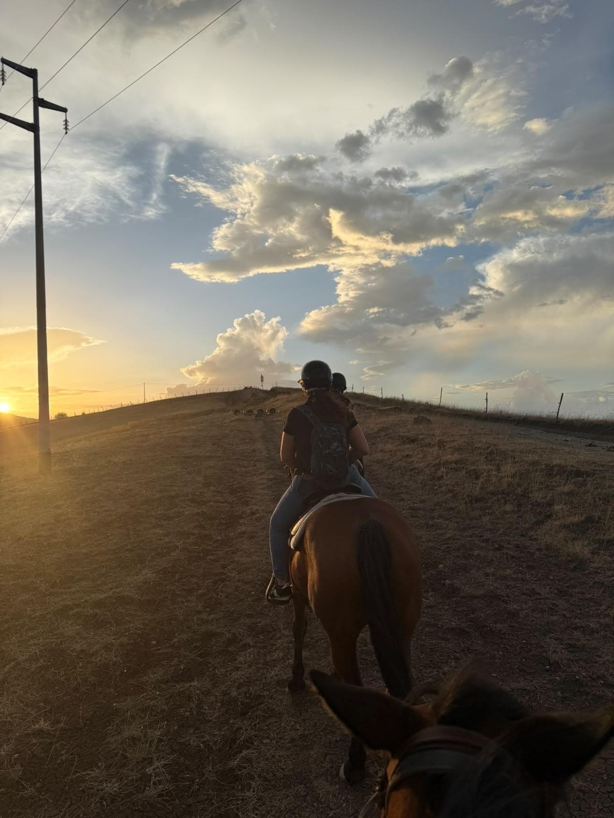 Horseback ride with Dolomiti a Cavallo