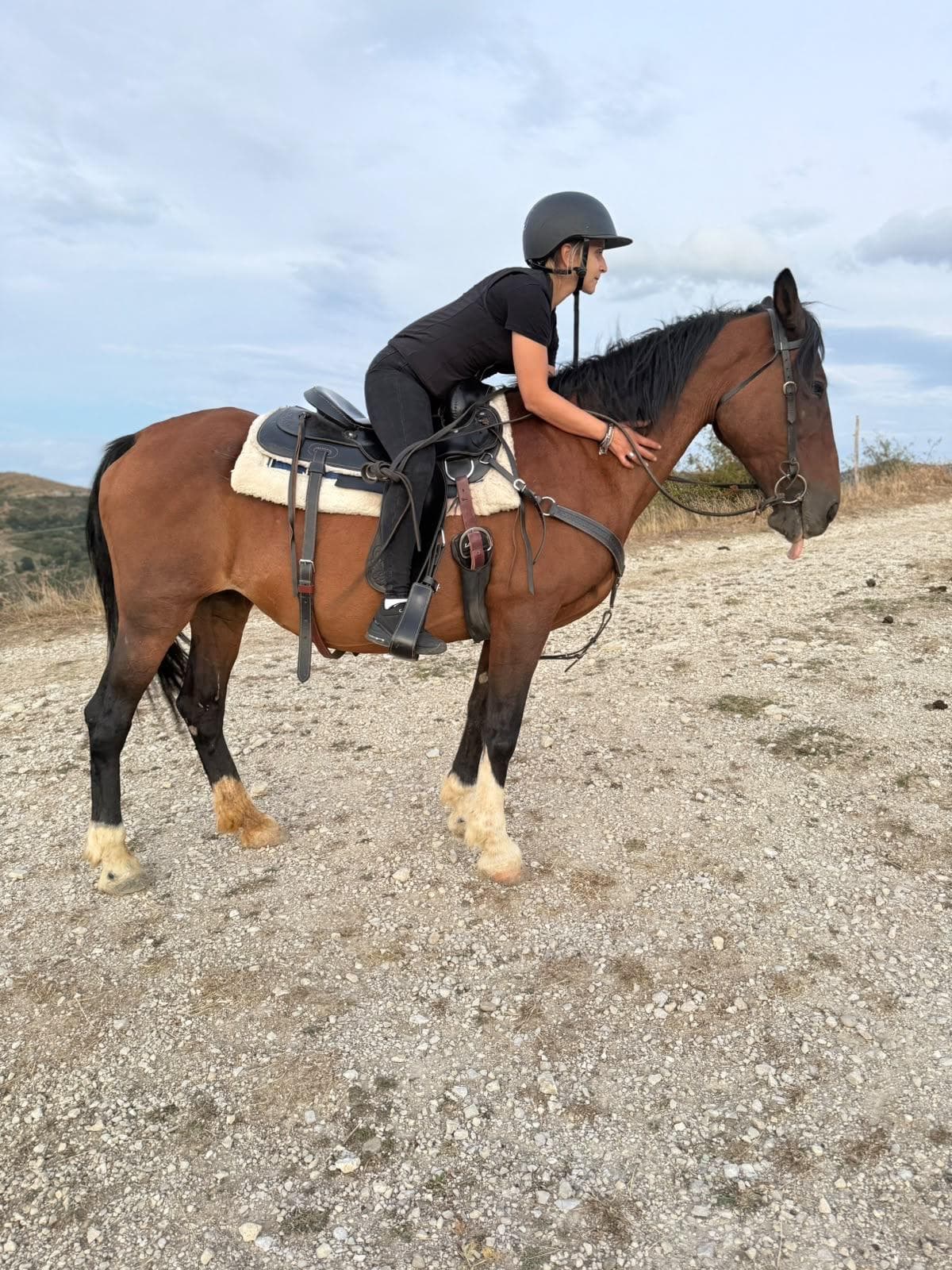 Horseback ride with Dolomiti a Cavallo
