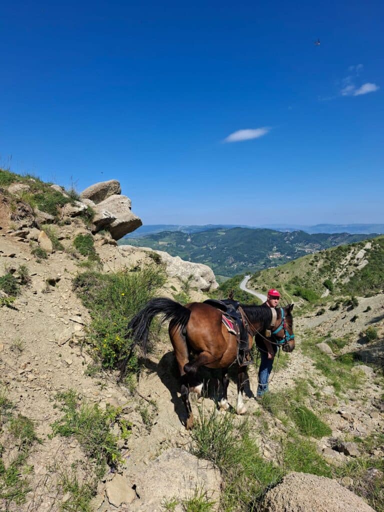 Horseback ride with Dolomiti a Cavallo