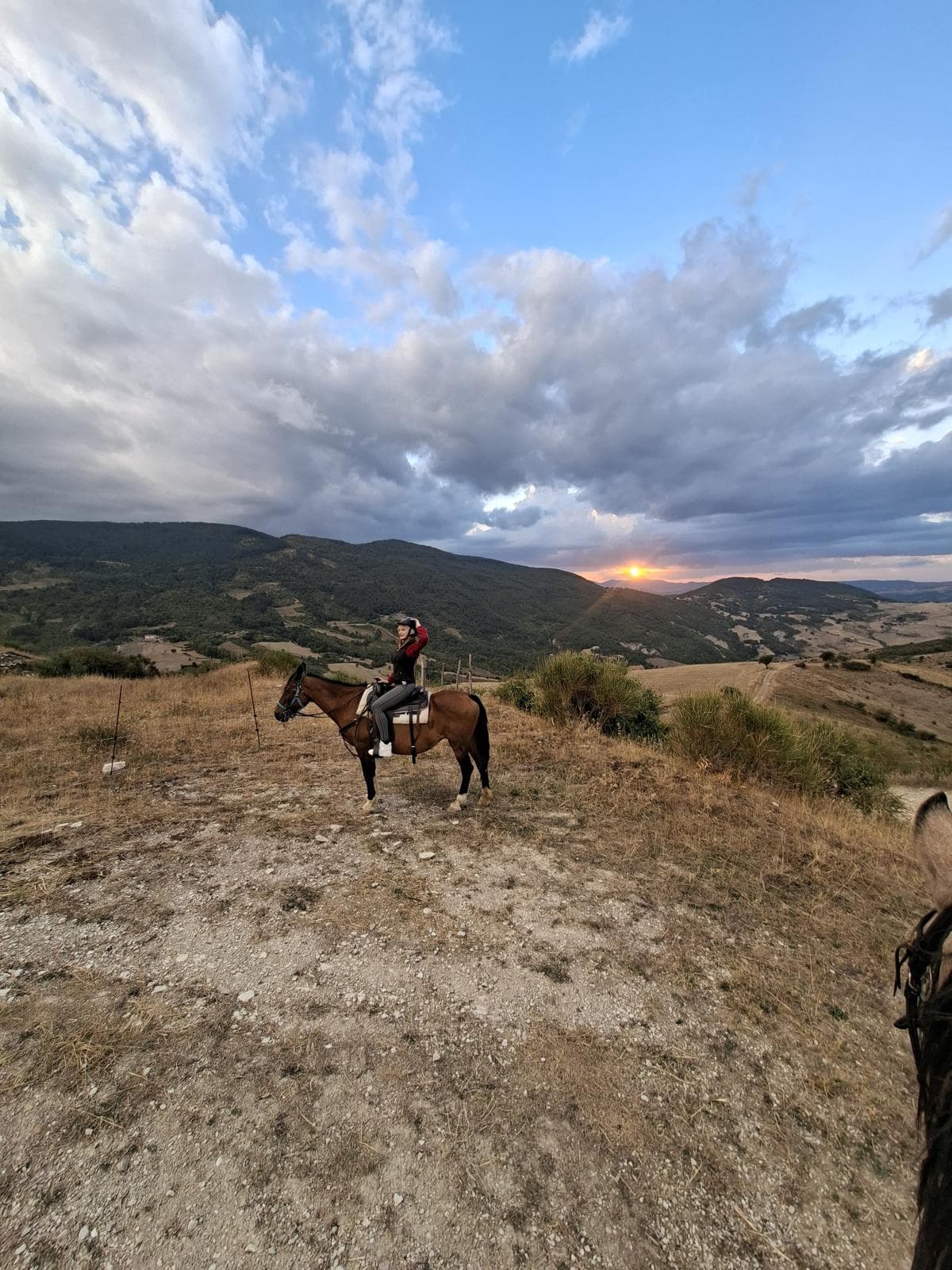 Horseback ride with Dolomiti a Cavallo