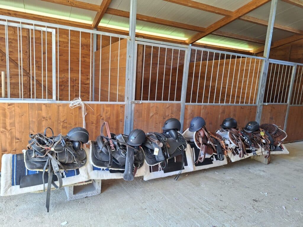 Horseback ride with Dolomiti a Cavallo