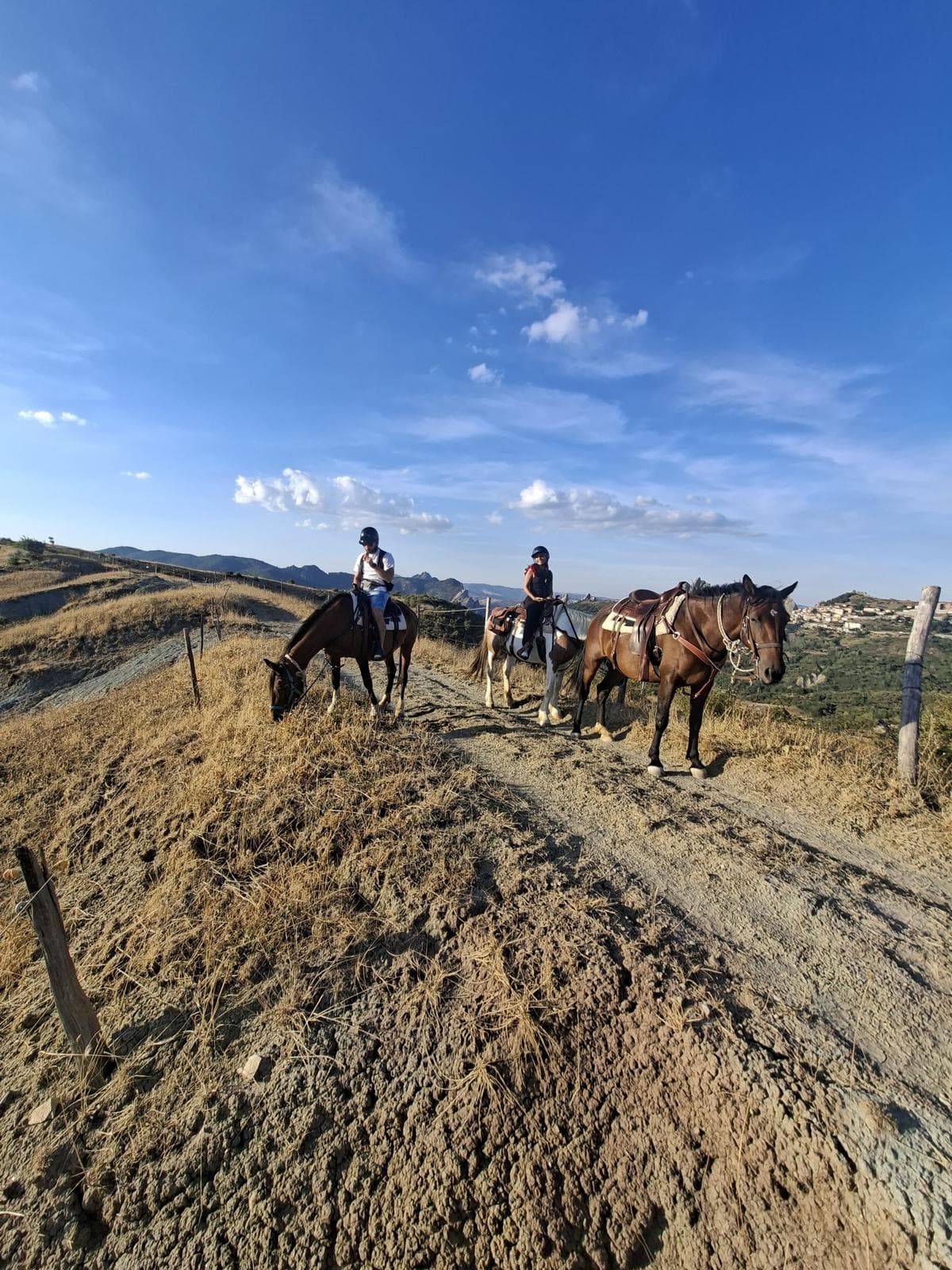 Horseback ride with Dolomiti a Cavallo
