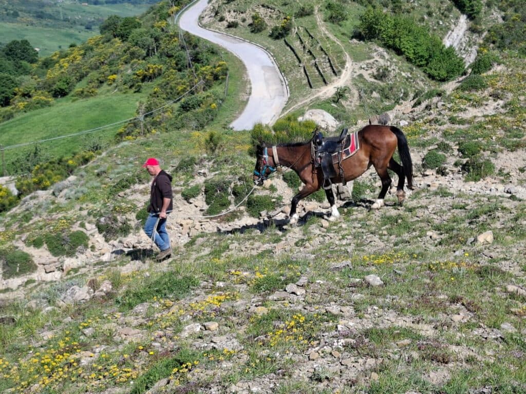 Horseback ride with Dolomiti a Cavallo